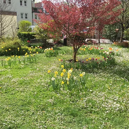 Nigler * インスブルック