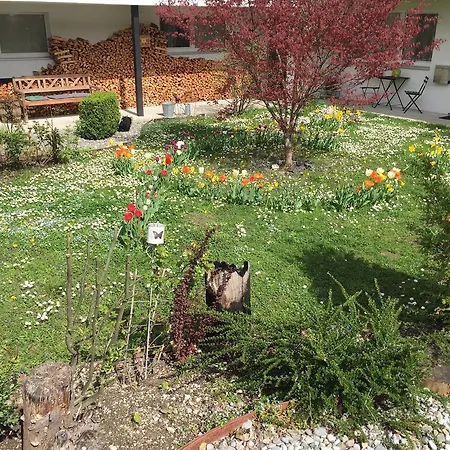 Apartament Nigler