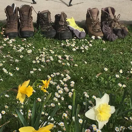 Nigler 인스브루크