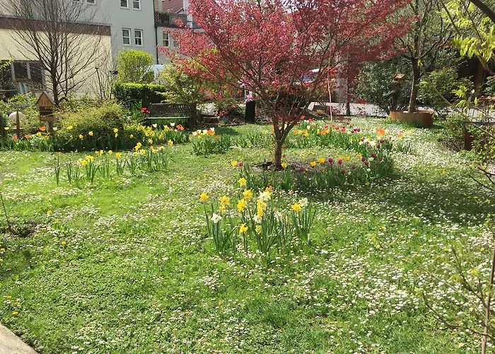 Nigler * אינסברוק