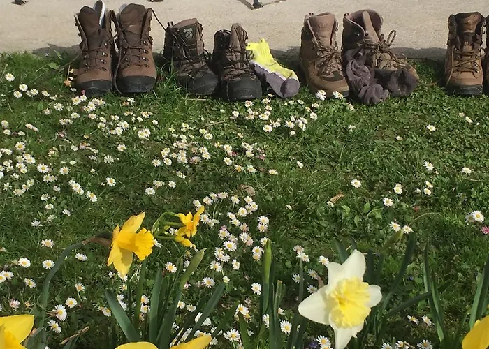 Innsbruck Apartment Nigler Innsbruck