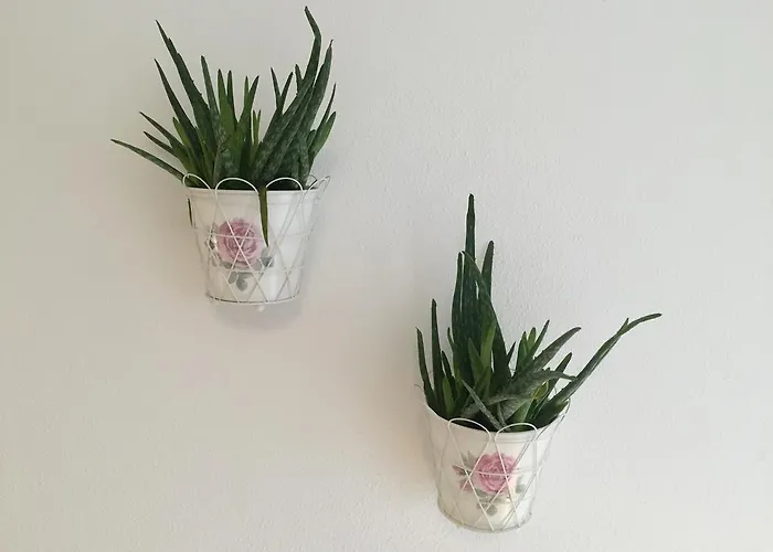 Innsbruck Apartment Nigler * Innsbruck